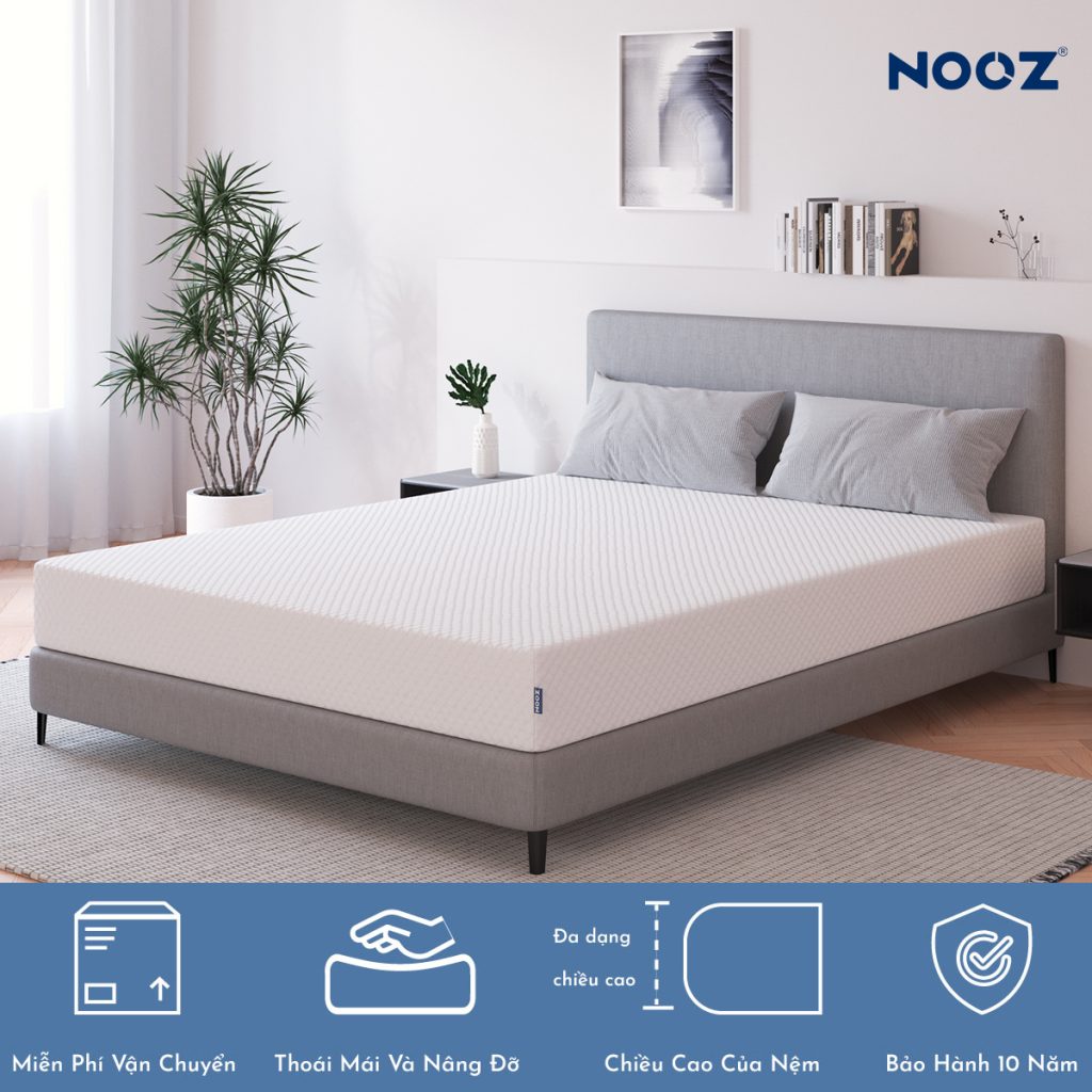Nệm Foam NOOZ – ảnh 3