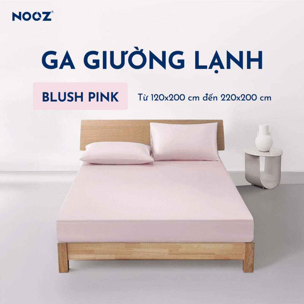 Ga giường lạnh NOOZ – ảnh 13