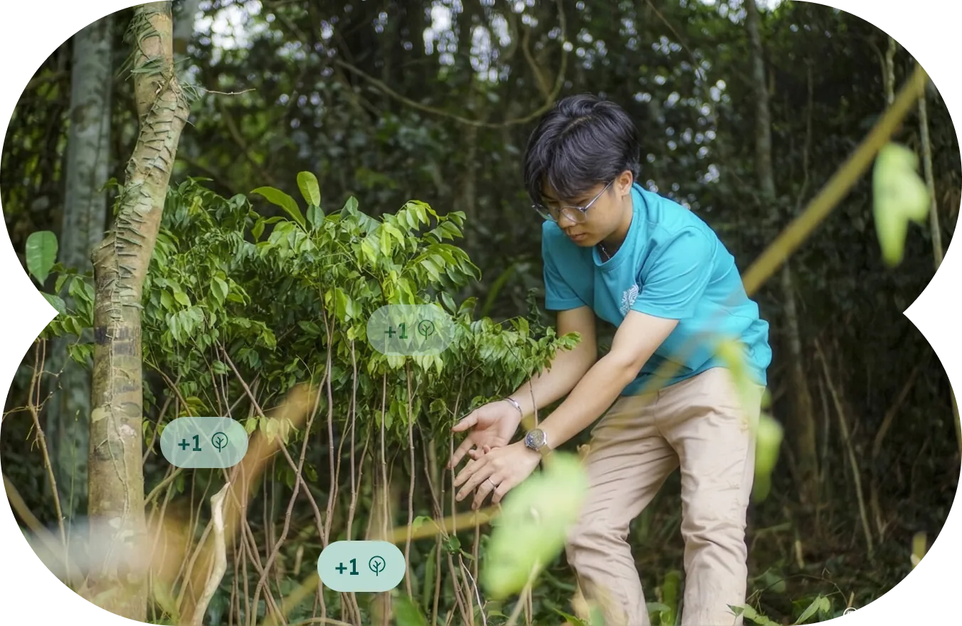 Nhân viên NOOZ trồng cây xanh