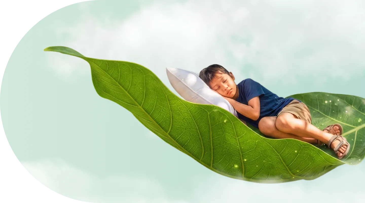Bé ngủ trên chiếc lá xanh – Trách nhiệm với cộng đồng